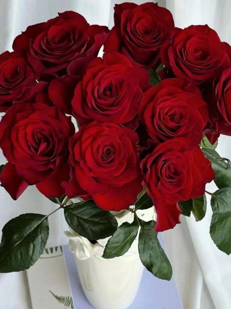 Any 20 roses of 2 varieties, any fresh flowers in the store, fill two orders and send by SF Express thumbnail 4