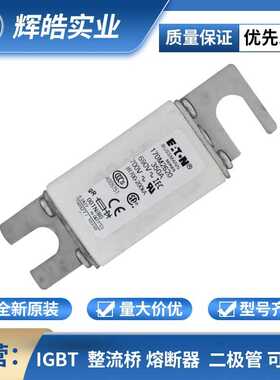170M2620/170M2621/170M2665 低压快速熔断器新能源电子配件