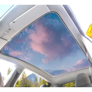 广汽埃安AION S Plus 天幕遮阳帘傍晚时分防晒隔热天窗遮阳图案