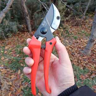 易速SJ886修枝剪 剪葡萄枝剪刀园林果树剪花枝剪 省力园艺剪刀