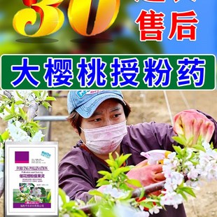 大樱桃授粉药车厘子坐果精保花保果药防落果叶面肥促花催花座果灵