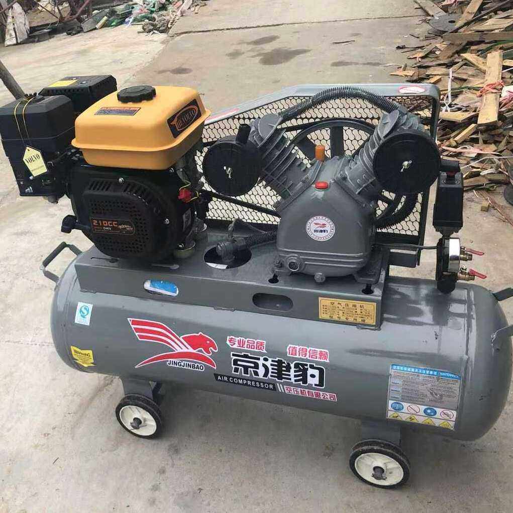 汽油空压机气泵潜水打黄油喷漆修车补胎充气移动供气机车载式气泵