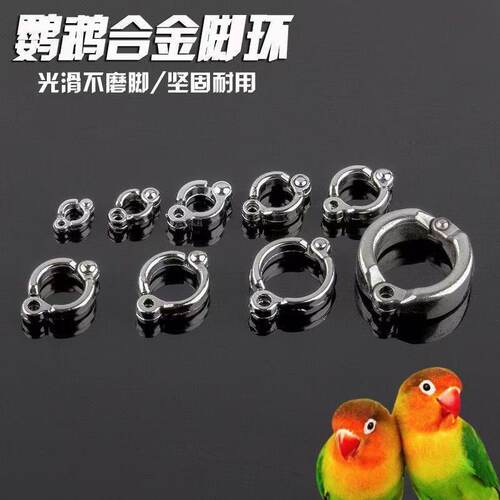 合金硅胶鹦鹉脚环虎皮牡丹用品