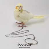 不锈钢鹦鹉脚链栓鸟绳牵引放飞绳虎皮牡丹脚环遛鸟绳鹦鹉用品大全