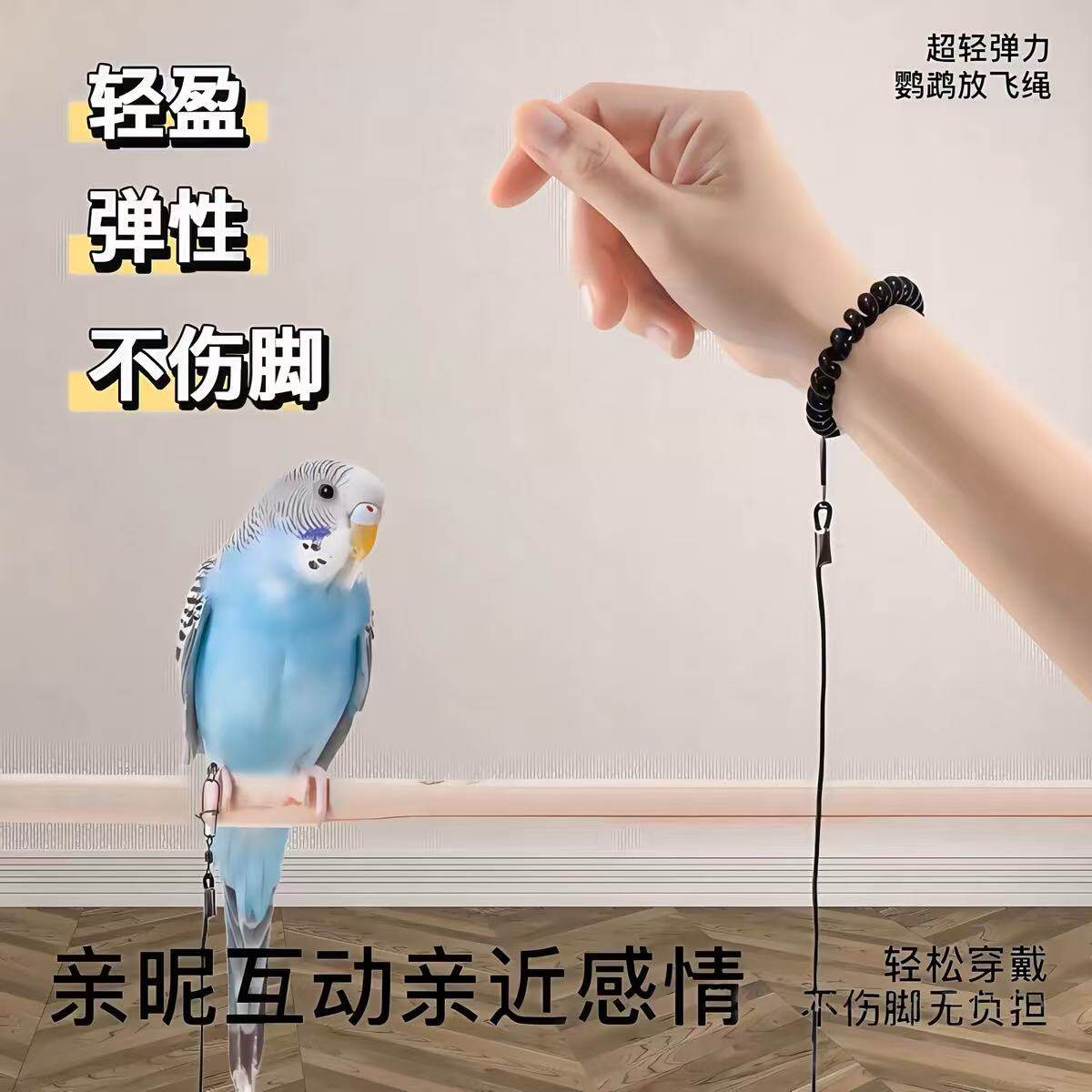 超轻鹦鹉放飞绳牵引绳外出训练绳脚链虎皮牡丹玄遛鸟弹力绳脚环