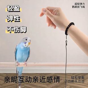 超轻鹦鹉放飞绳牵引绳外出训练绳脚链虎皮牡丹玄遛鸟弹力绳脚环