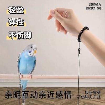 超轻鹦鹉放飞绳牵引绳外出训练绳脚链虎皮牡丹玄遛鸟弹力绳脚环