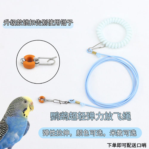 新款硅胶鹦鹉脚环牵引绳放飞绳虎皮牡丹玄凤专用弹力绳子遛鸟绳子