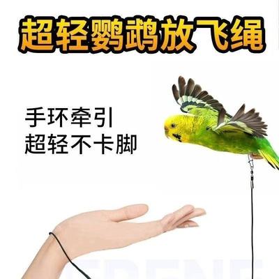专用鹦鹉放飞绳超轻牵引绳外出绳脚链虎皮牡丹玄遛鸟弹力绳脚环