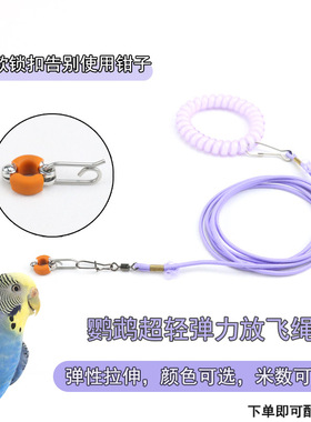 新款硅胶鹦鹉脚环牵引绳放飞绳虎皮牡丹玄凤专用弹力绳子遛鸟绳子