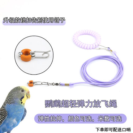 新款硅胶鹦鹉脚环牵引绳放飞绳虎皮牡丹玄凤专用弹力绳子遛鸟绳子