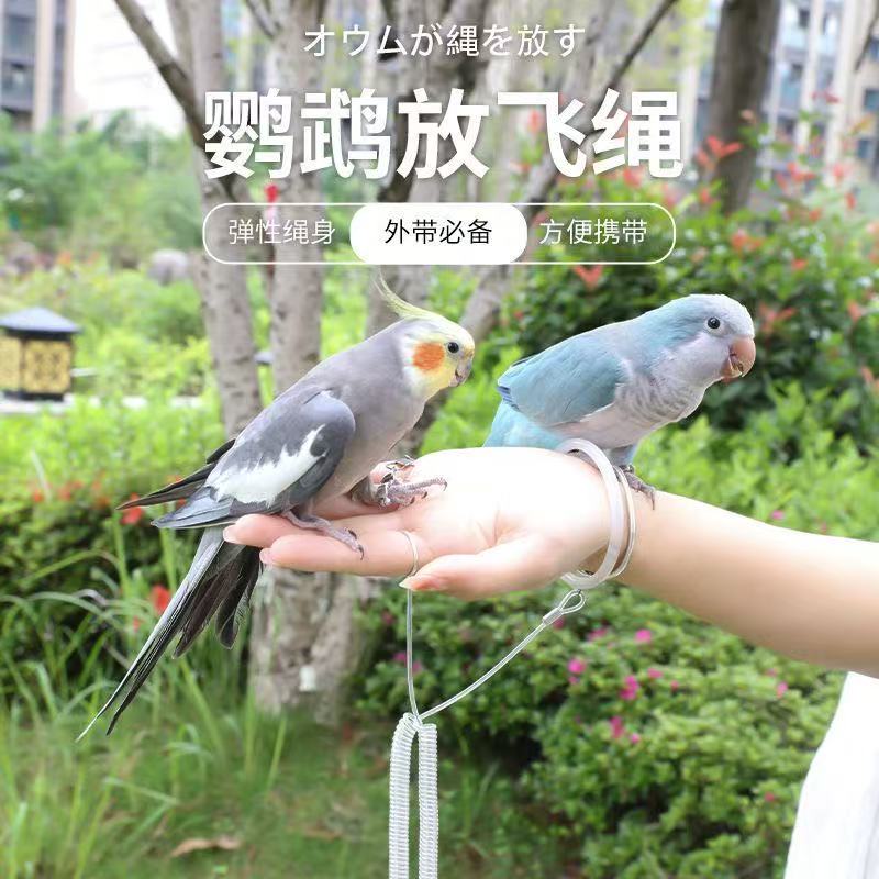 弹力鹦鹉放飞绳超轻牵引绳遛鸟绳