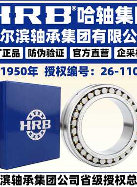 HRB 哈尔滨轴承 NN 3021 3022 3024 3026 K/W33 P5 P4  圆柱滚子