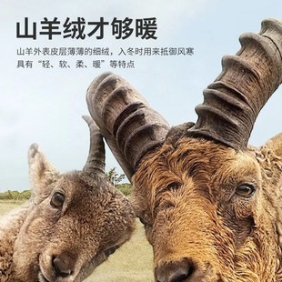 套 秋冬新款 蚕丝羊绒男士 德r绒保暖内衣套装 无痕发热恒温秋衣秋裤