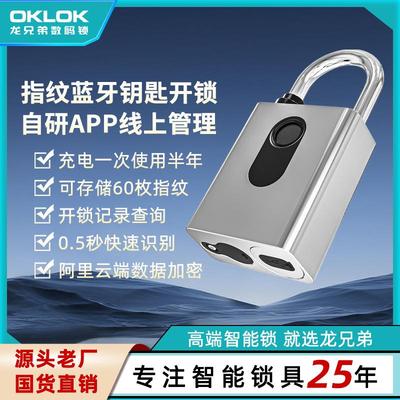 户外机柜带钥匙指纹挂锁银行监管电力柜智能挂锁远程管理电子挂锁