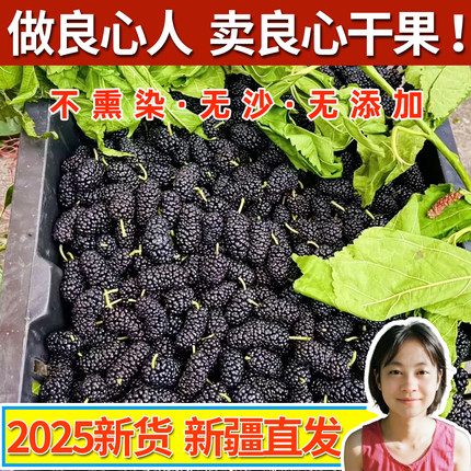 新疆特产吐鲁番黑桑葚干桑椹子新鲜特级大颗粒无硫原色泡酒正宗