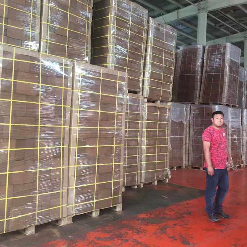 4.5公斤进口大椰砖 椰土椰粉砖种菜无菌营养土种植养花椰糠砖