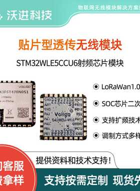 LoRaWAN节点模块STM32WLE5CCU6低功耗远距离SX1262 RF模块
