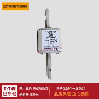 熔断器170M3159 170M3160 170M3161 170M3162 170M3163 170M3164