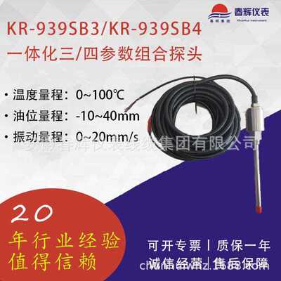 CE-P3100-A00-BBB-000-DDD-E00 三参数组合探头