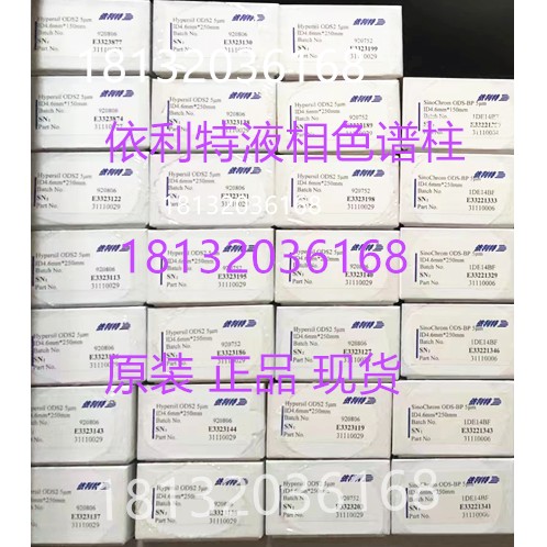 优惠 31110018大连依利特Hypersil ODS(C18) 4.6mm*150mm*5um正品