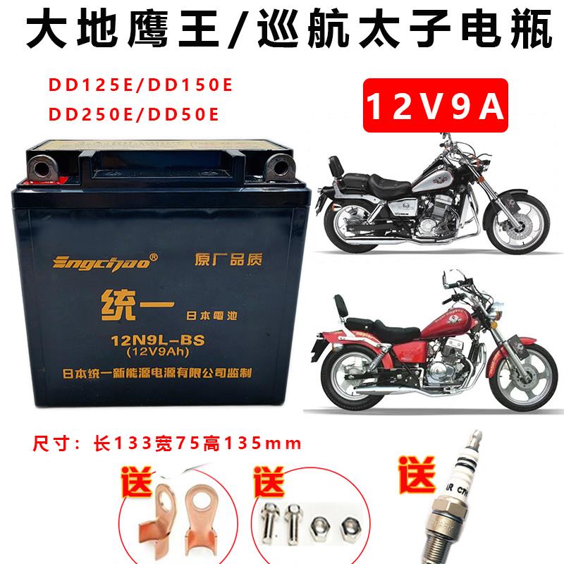 适机车干电瓶大地鹰王DD125EDD150EDD250DD350E巡航太子蓄电池