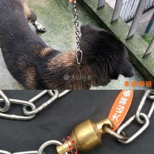 304不锈钢狗链子小型犬/中型犬猎狗马犬专用项圈牵引绳栓狗铁链子