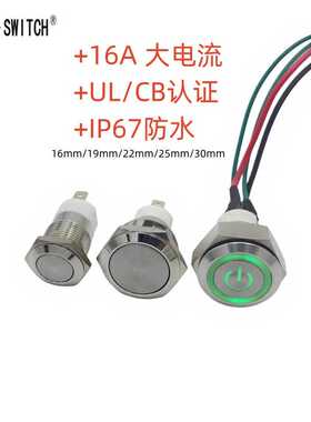 D-SWITCH德崧定制22mm 16A  UL认证IP67防水按钮开关CB