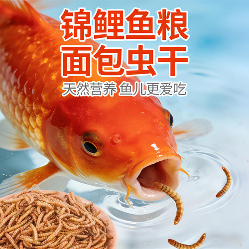 锦鲤金鱼龙鱼专用鱼食面包虫干
