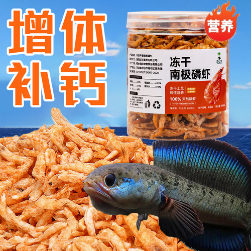 雷龙鱼专用虾干冻干南极磷虾鳄鱼龙鱼六角恐龙鱼专用鱼粮增体增色