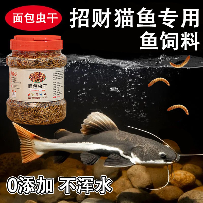招财猫鱼饲料专用面包虫干龙鱼锦鲤鱼粮黄粉虫干上浮鱼食地图鱼粮图片