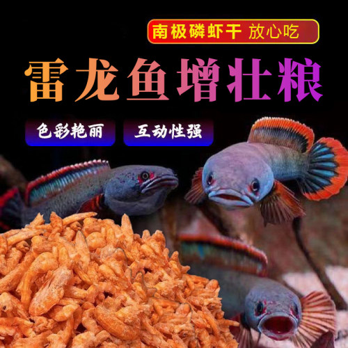 添仙宠南极磷虾干雷龙鱼专用鱼食