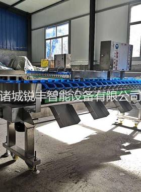 水果猕猴桃高精度重量分选机全自动分选设备蜜桃橘子自动分选设备