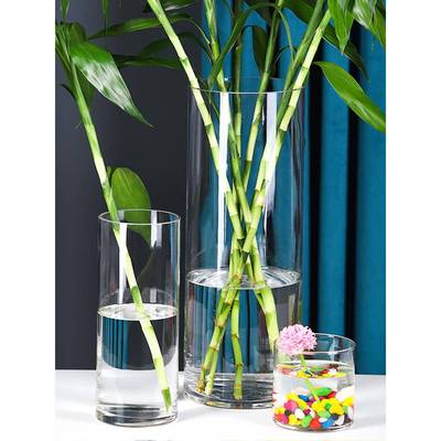 玻璃摆件客厅插花玻璃轻奢高级感透明高直筒富贵竹雪柳百合落地大