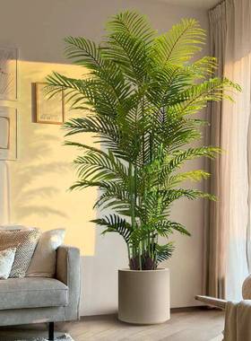 摆件家居饰品客厅高档轻奢直播间装饰彷真绿色植物散尾葵大型落地