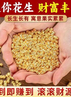 合金迷你仿真花生种子大米家居饰品摆件聚宝盆乔迁礼店铺开业祝福