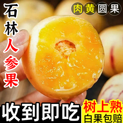 云南人参果石林新鲜水果