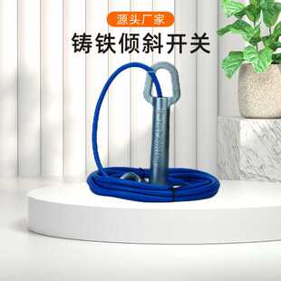 LCS20 1水银倾斜铸铁角度传感器溜堵堵煤检测器高料位煤流开关