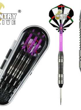 GentryLive 软式飞镖套装 电子飞镖 20g仿钨钢色铜镖  darts