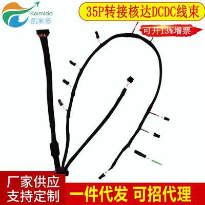 35P转接核达DCDC线束汽车线束 直线高压输出线束进口线束