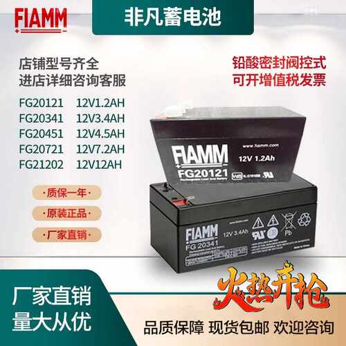 FIAMM非凡蓄电池FG207212045112V7.2AHUPS电源内置电瓶应急电源