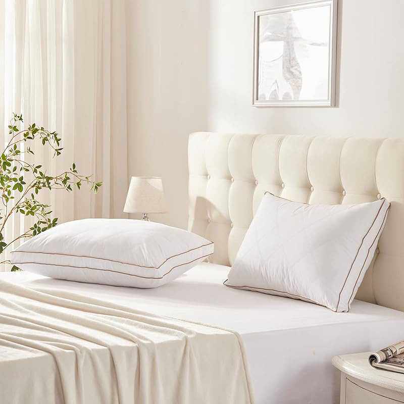 空气层羽绒枕 枕芯家用枕头宾馆酒店慢回弹酒店枕头芯1个鸭绒枕头