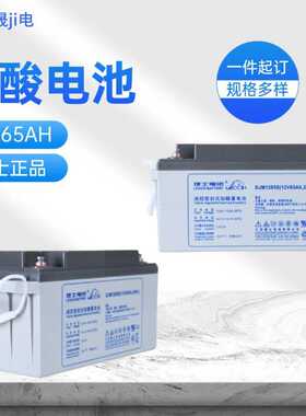 UP S/EPS不间断电源 LEOCH理士蓄电池DJM1265S 光伏发电 12v65AH