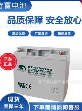 赛特蓄电池BT-12M17AC铅酸12V17AH机房通信直流屏UPS/EPS备用电源