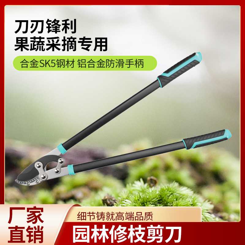 修枝剪树枝专用剪刀园艺大剪刀果树修枝修剪树枝园林剪刀粗枝剪
