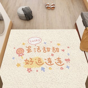 天津地毯入户门地垫脚垫大门口地毯进门脚垫门垫S家用进门丝圈地