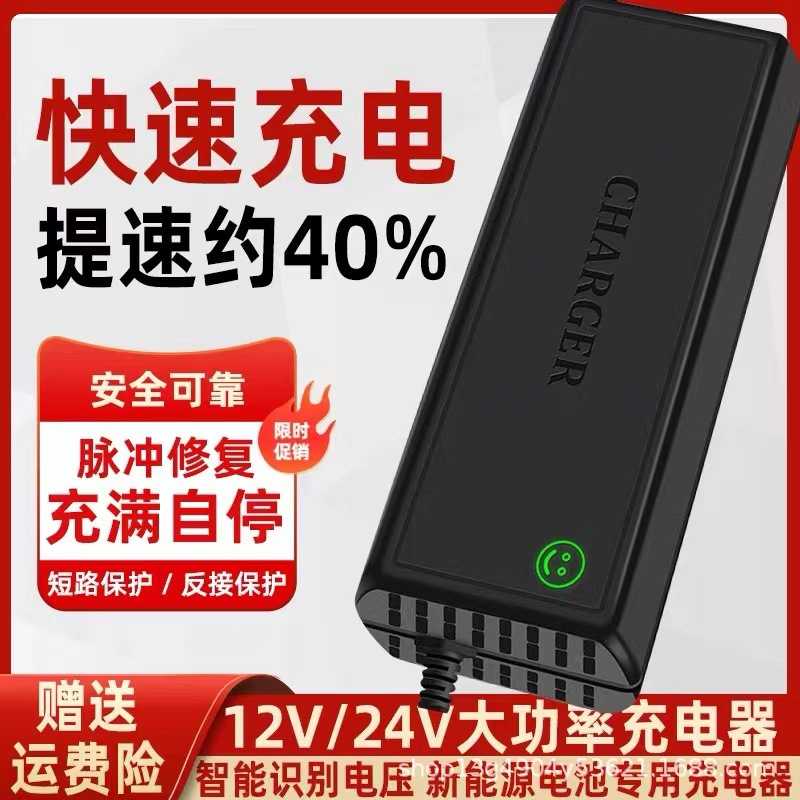 电动叉车充电器液压堆高车推高12V24V20A30A观光代步车电瓶充电机