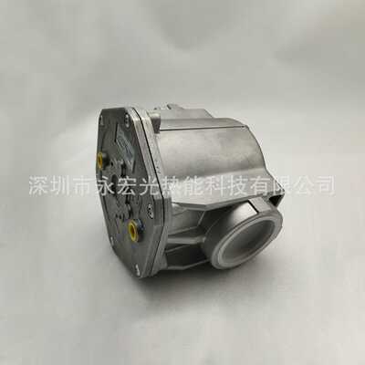 10602 DN20螺纹过滤器原装菲奥FIORENTINI燃烧机配件供应商厂家