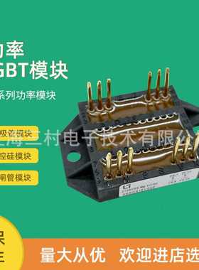 二极管块DSEI2X101-12A 121-02A DSEP2X25-12C 2X31-03A-04A-06A