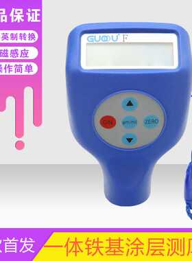 果欧GTS810F涂层油漆铁基漆膜测厚仪镀锌厚度测试仪膜厚仪